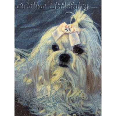 Δημιουργία Digital Pet Portrait