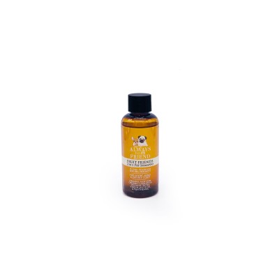 ALWAYS YOUR FRIEND FRUIT FRIENDS TRAVEL SIZE ΣΑΜΠΟΥΑΝ 50ml ALWAYS YOUR FRIEND FRUIT FRIENDS TRAVEL SIZE ΣΑΜΠΟΥΑΝ 50ml
