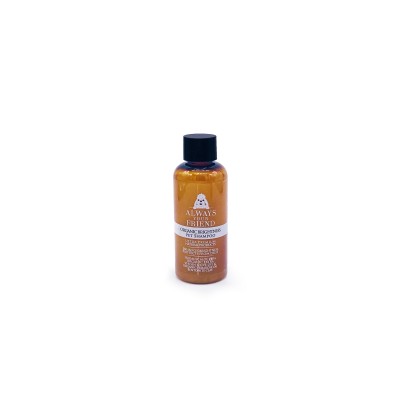 ALWAYS YOUR FRIEND ORGANIC BRIGHTNESS TRAVEL SIZE ΣΑΜΠΟΥΑΝ 50ml ALWAYS YOUR FRIEND ORGANIC BRIGHTNESS TRAVEL SIZE ΣΑΜΠΟΥΑΝ 50ml